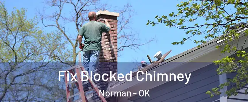 Fix Blocked Chimney Norman - OK